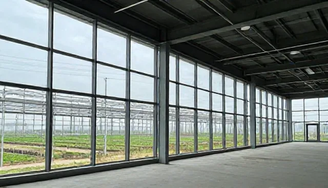 康复指导服务:应用场景分析与选型关注点